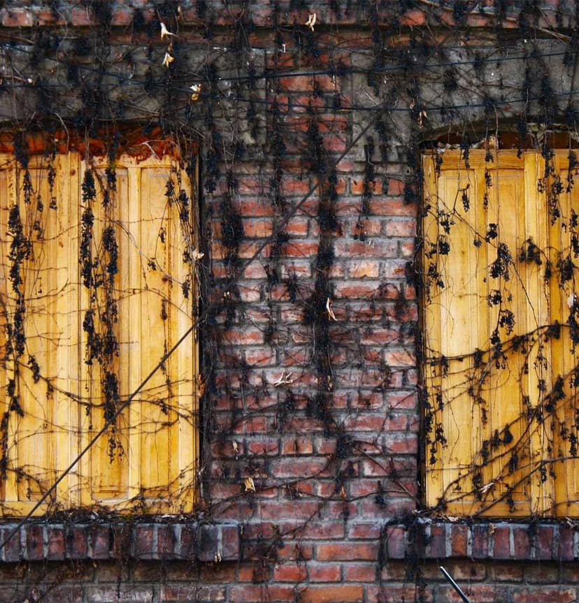 Unauth title RGIvIdpa